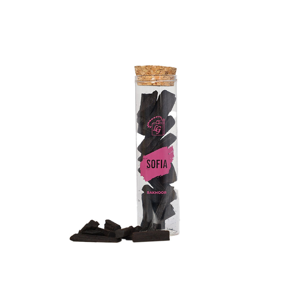 Premium bakhoor incense charcoal by lulu gallery